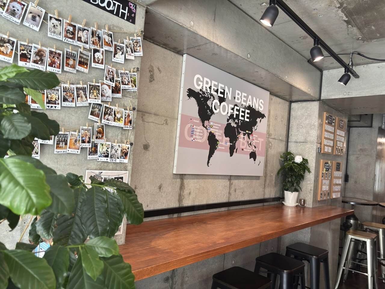 東京・北参道のコーヒー専門店で見つけた、コーヒーの木が癒す夏の紫外線疲れ回復習慣