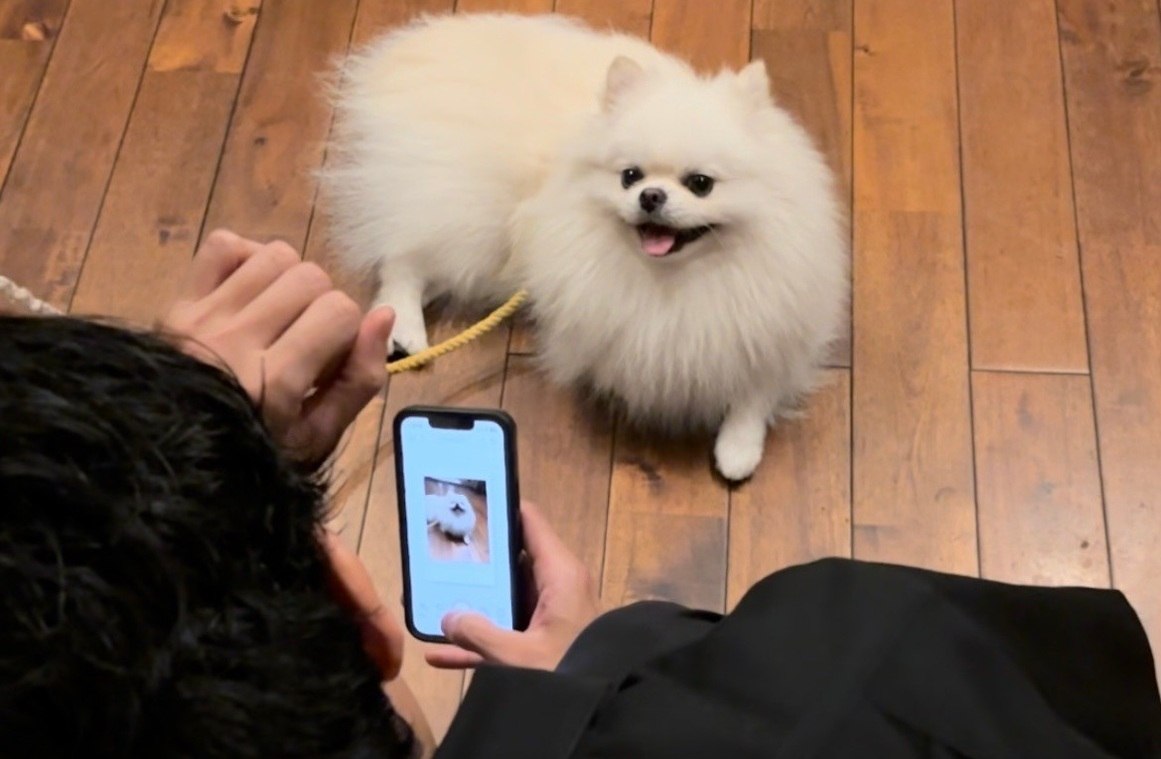 犬と入れるカフェとは？東京・渋谷区で愛犬と通うペット同伴カフェの選び方ガイド