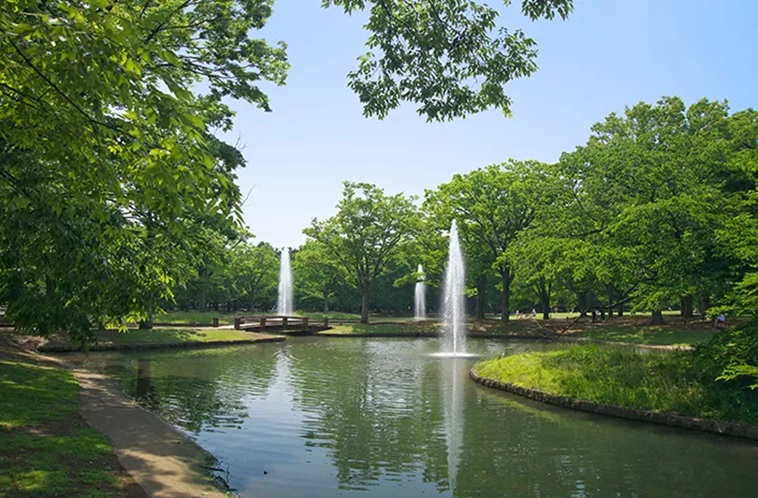 東京・ダガヤサンドウの夏の朝活、代々木公園を歩いてグリーンビーンズコーヒーで迎える朝