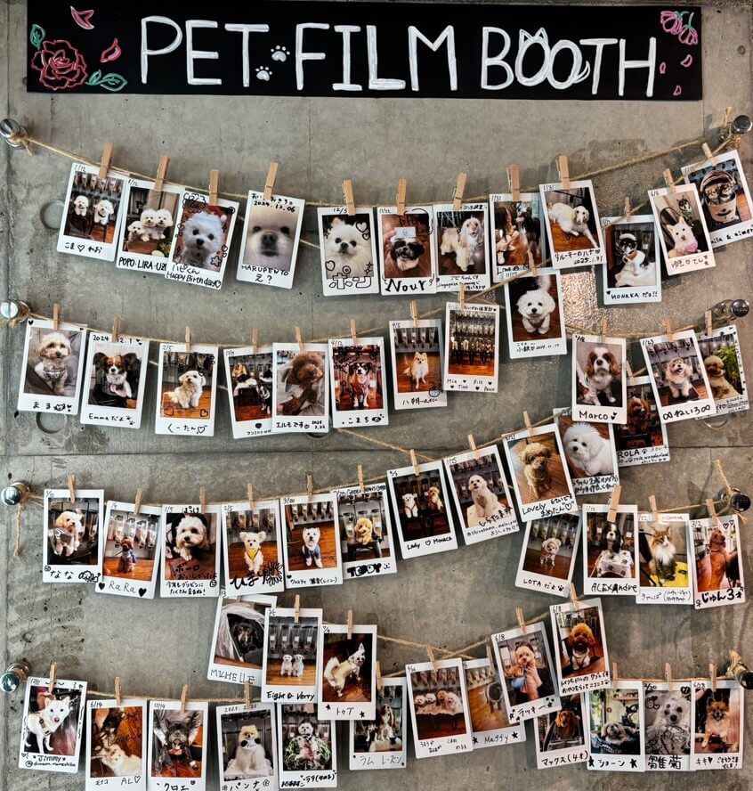 北参道・千駄ヶ谷のGreen Beans Coffeeは、店内ペット同伴可能なペットフレンドリーカフェ。来店してくれたペットちゃん達が見れるたチェキブース。