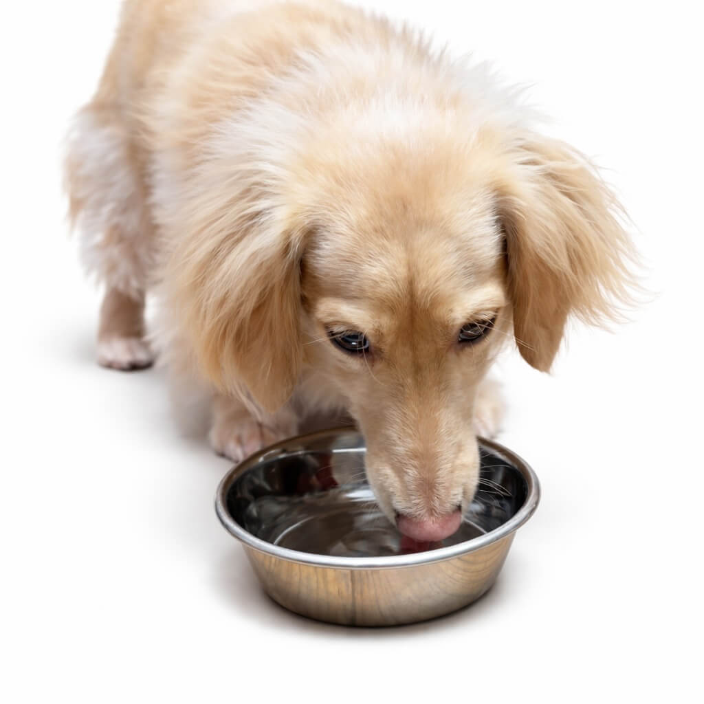 ペット向け設備